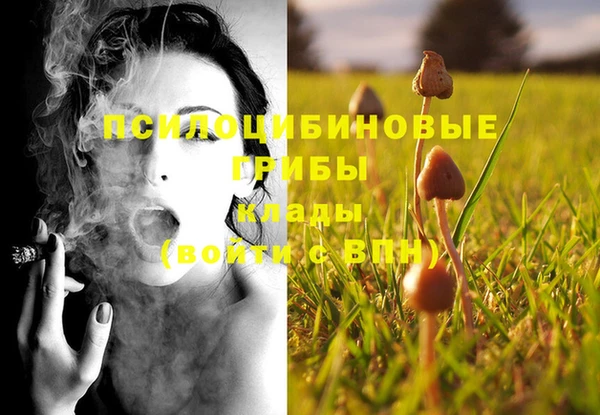 спиды Арсеньев