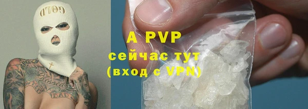 спиды Арсеньев
