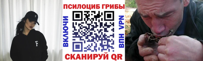 как найти закладки  Краснодар  Галлюциногенные грибы мицелий 
