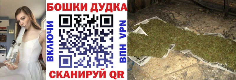 Бошки марихуана OG Kush  Краснодар 